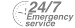 24/7 Emergency Service Pest Control in Darenth, Bean, DA2. Call Now! 020 8166 9746